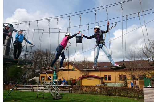 Wilgenweard