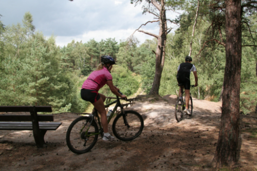 huur een mountainbike bij De Wilgenweard in Nijverdal