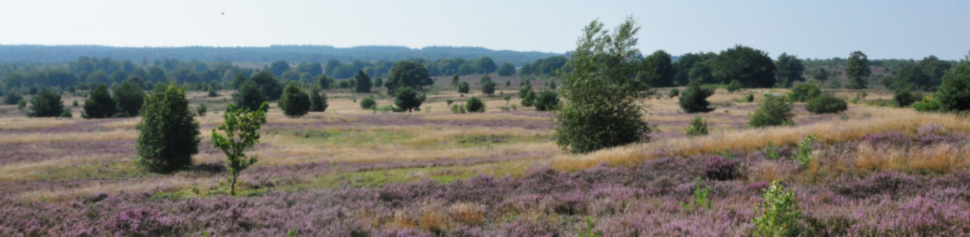 Heidag