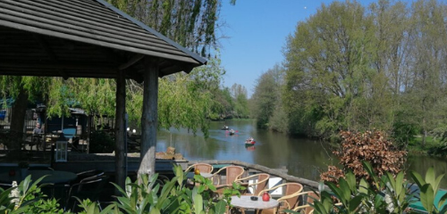 terras de Wilgenweard