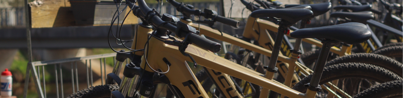 Elektrische mountainbike