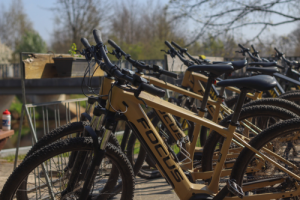 Elektrische mountainbike