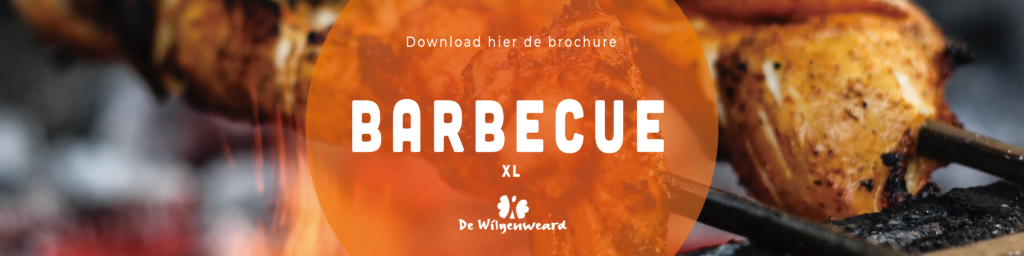 Barbecue XL